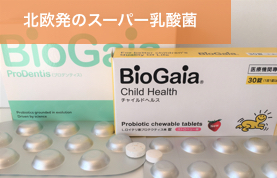 岡崎市 のじまデンタルクリニック 乳酸菌