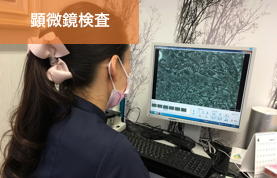 岡崎市 のじまデンタルクリニック 顕微鏡検査